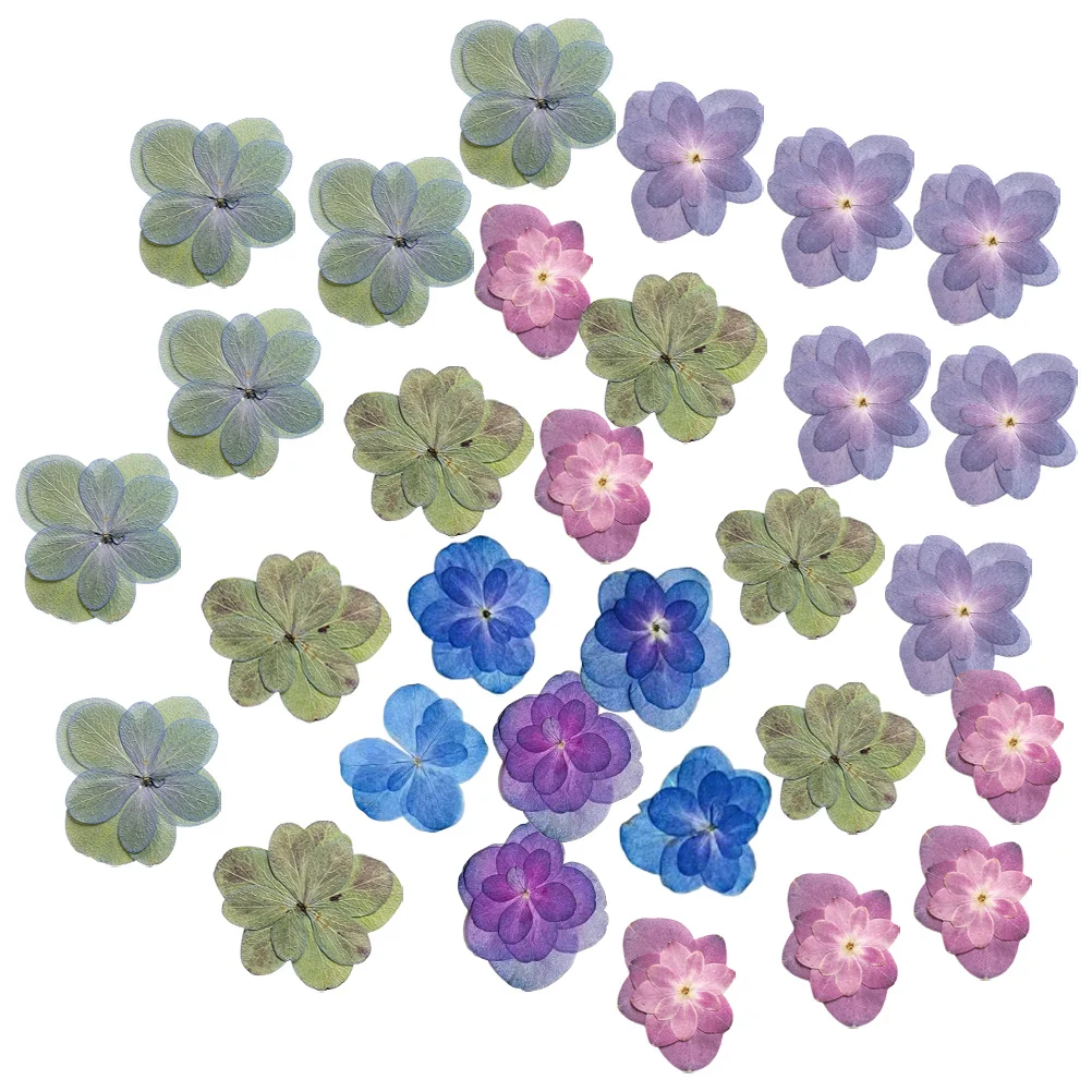 30 peças flores secas prensadas em relevo real para artesanato de resina diy fazendo scrapbooking material floral natural multicolorido