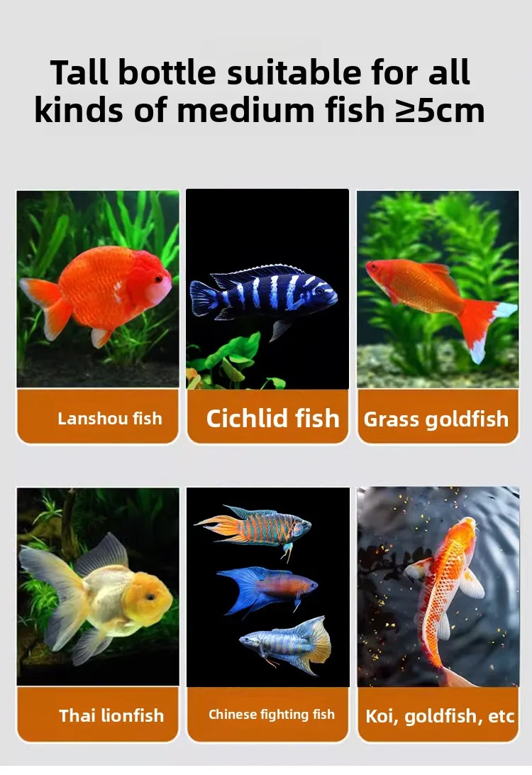 AMF Universal Small Fish Food - Slow-Sinking & Floating Micro Pellets for Zebrafish, Guppy, Angelfish, Tetra & All Nano Fish view 5