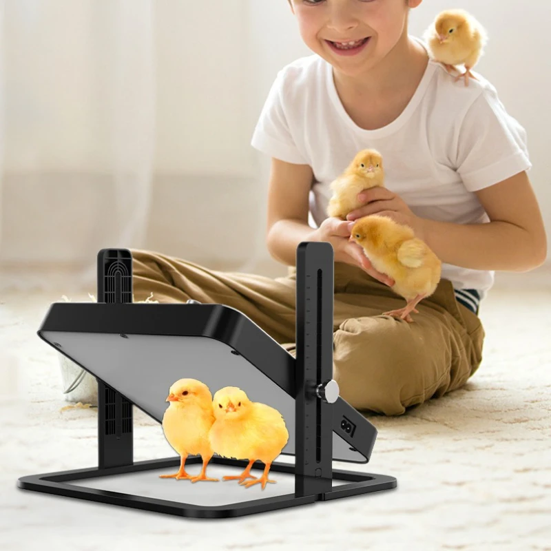 

Нагревательная пластина, павильон, модернизированный, новый, постоянная регулировка температуры, угол высоты, регулируемая температура, нагреватель для цыплят