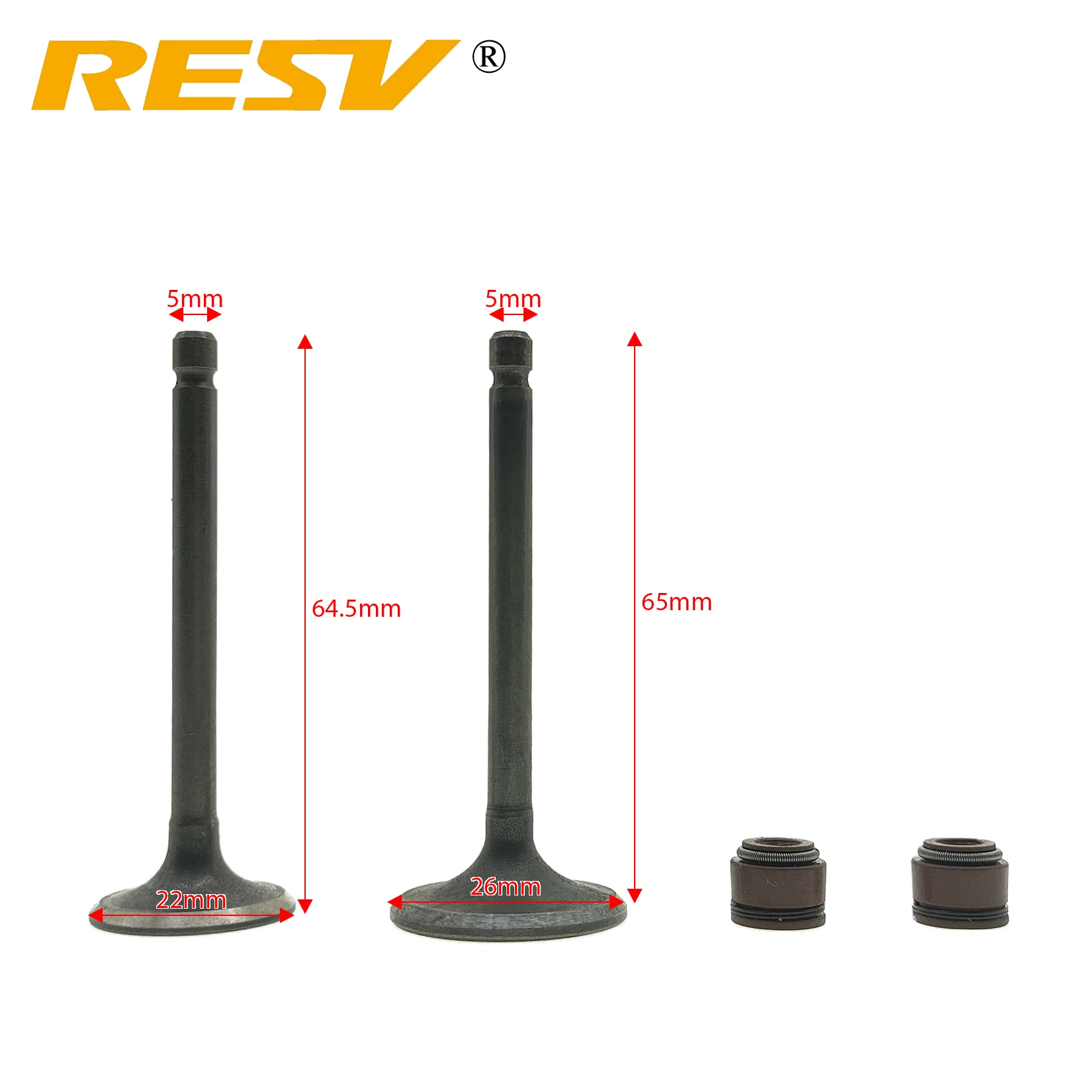 RESV for Yamaha YBR125 JYM125 TTR125 XT125R XT125X YBR XT TTR 125 125cc Valve Intake Exhaust Stem Valve Kit Oil Seal