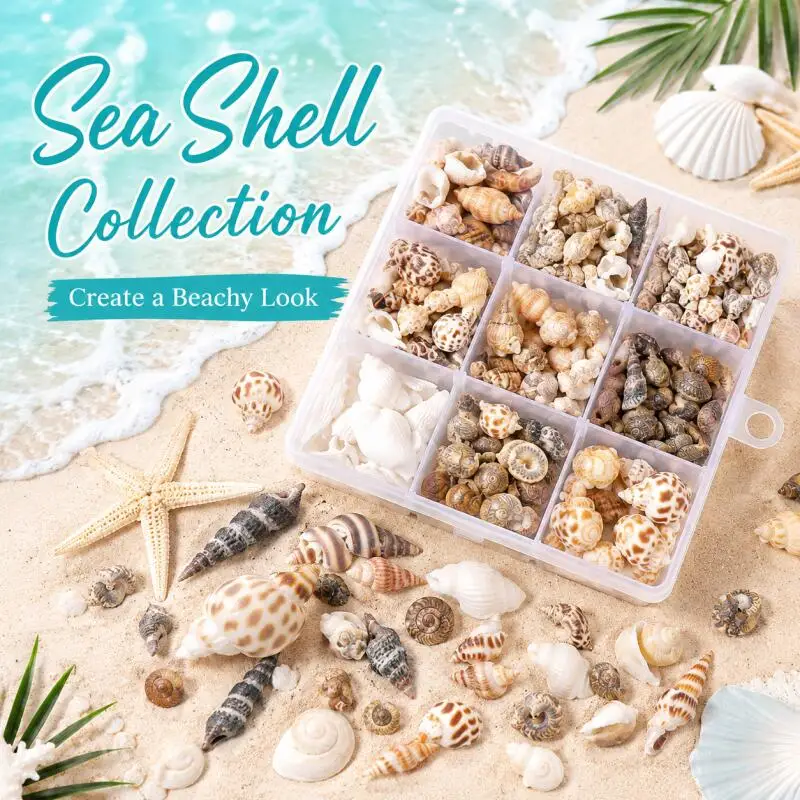 28/100g Sea Shell Beads Ocean Small Spirals Conches Loose Spacer Seashell Bead for DIY Crafts Ornament Home Decoration Supplies