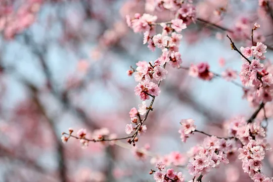 

Алюминиевый сплав, сверхпрочный 1.9-дюймовый бедлок-диск с глубокой полкой для радиоуправляемых краулеров 1/10 SCX10 TRX4 VS4-10 Gen8 R187