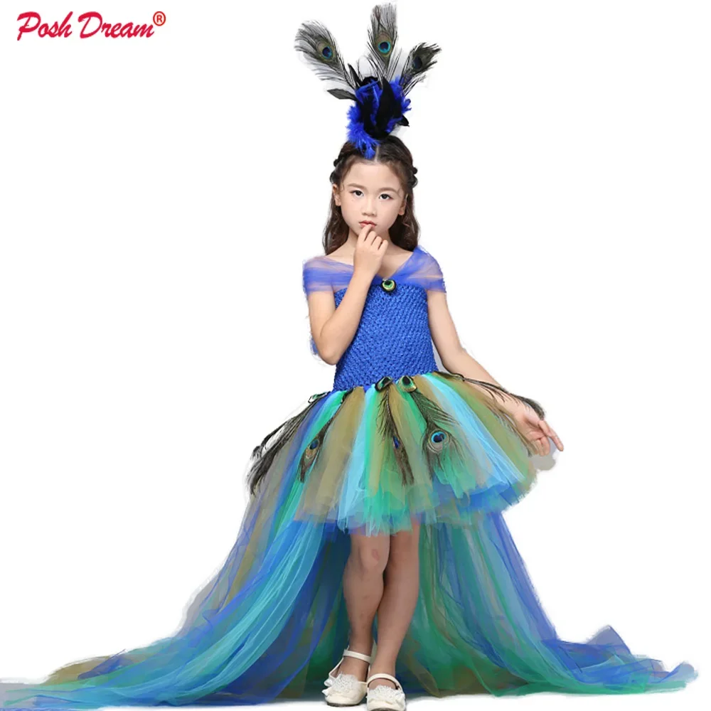 Peacock Dress with Train Tulle For Kids Girls Peacock Feather Toddler Baby Girls Party Clothes for Birthday Photograp