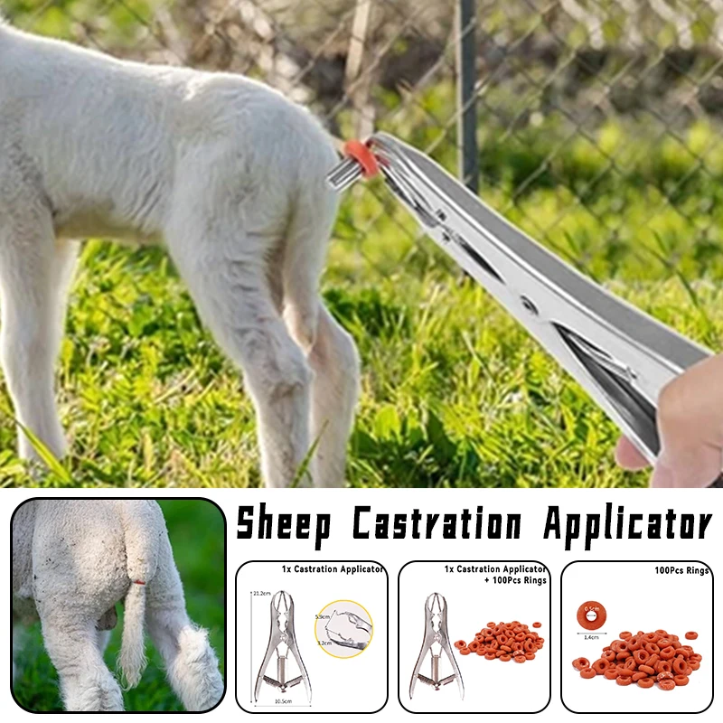 Sheep Broken Tail Castration Forceps Goat Castration Bander With 100 Castrator Rings Flared Plier for Cattle Goat Cow New