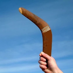 Boomerang Throwback V Shaped Flying Disc Funny Throw Catch Interactive Outdoor Fun Game Gifts For Kids Children Toys