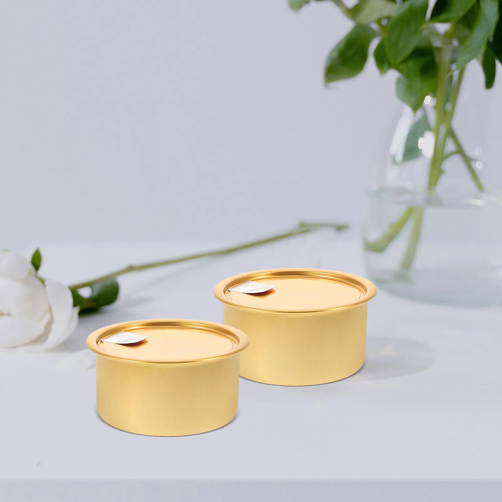 

12pcs Aluminum Cans 100ml Airtight Containers Storage Tins Cookies Snacks Pet Food Cat Dog Bulk Empty Holiday Cookie Tin