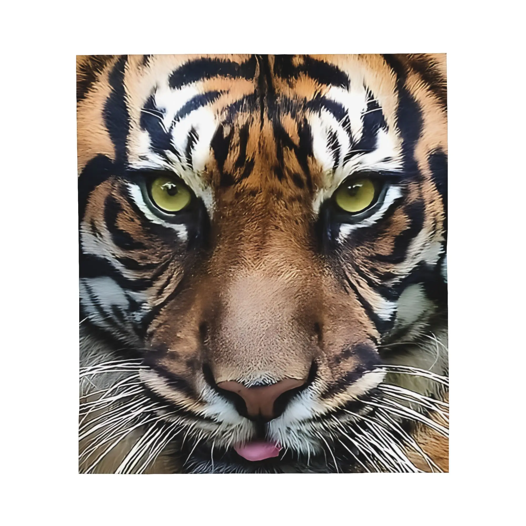 1PC Awesome Tiger Close Up Throw Blanket Blanket Throw Blanket Novelty Warm Blanket All Season Gift