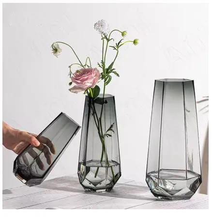 Creative Transparent Glass Vase Nordic Modern Dining Table Bookcase Desk Plant Pots Decorative Ornaments Living Room Decoration