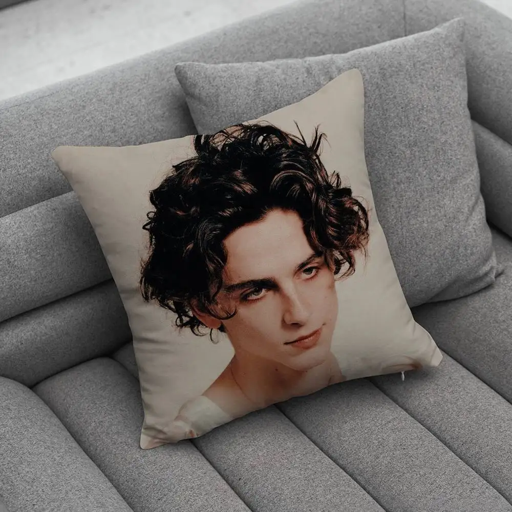 T-Timothee Actor Chalamet Creative patterned pillowcases for interior decoration office living room home