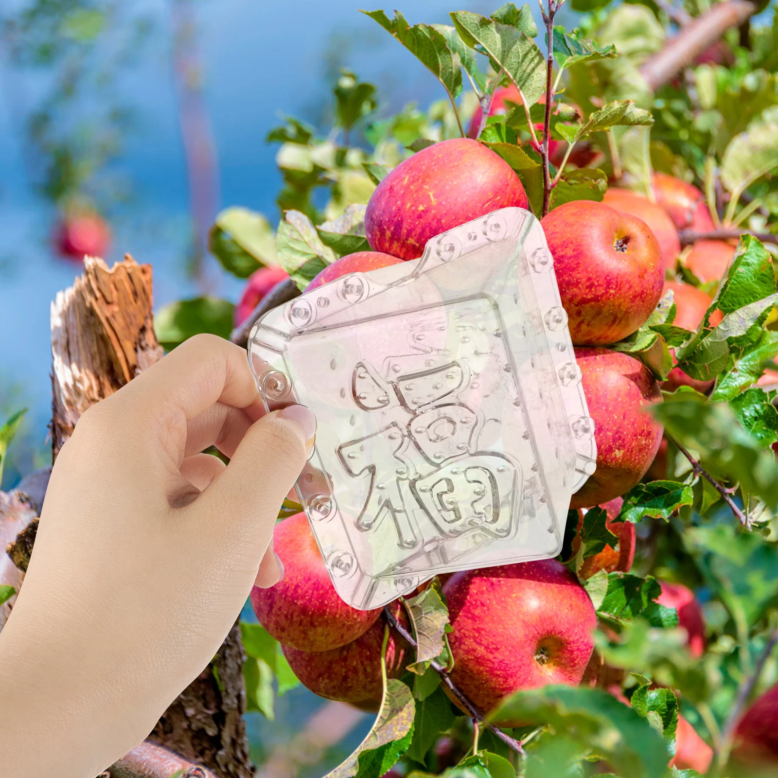 

2Pcs Fruit Shaping Mold Lightweight Portable Square Growth Molds for Fruits Vegetables and Ginseng Melon Growing Mold