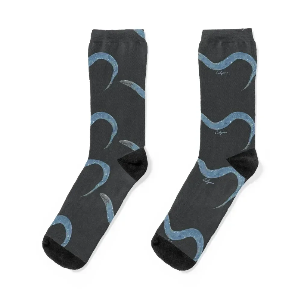 C. elegans (Model Organism Series) Socks cotton Rugby Stockings Women Socks Men's