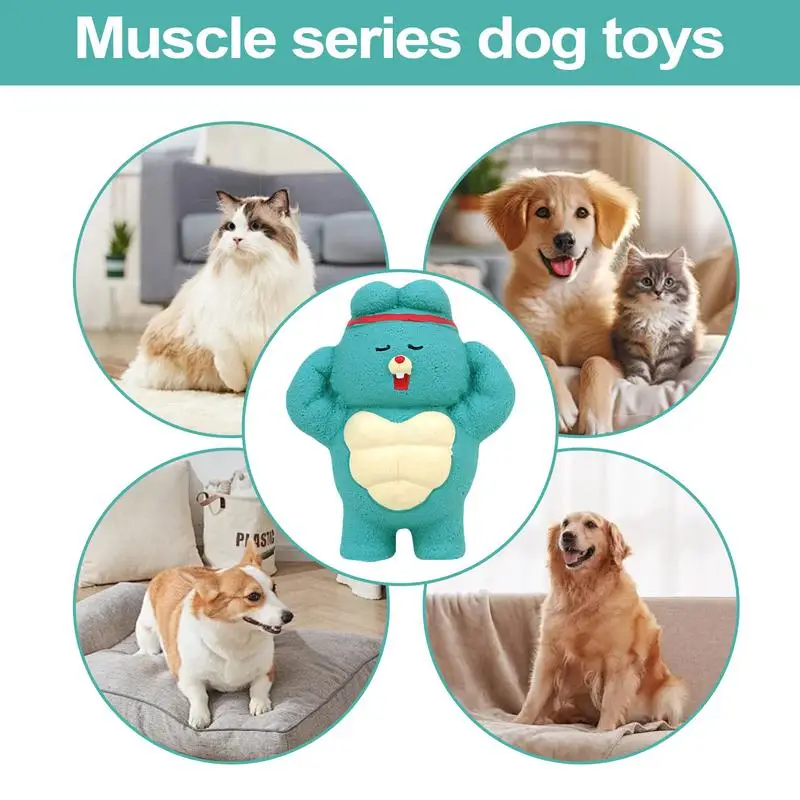 Muscle series dog toys Squeak Latex Pet Chew Toys for Dog Squeaker Chew Training Supplies Funny Interactive Soft Pet Products