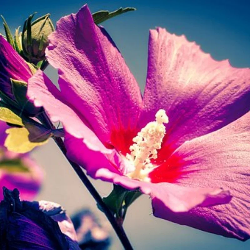 1/10 RC Гусеничный ЧПУ из алюминиевого сплава 2,2 дюйма обод колес с замком для TRX4 D90 Axial SCX10 Wraith Capra