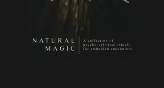 Lewis Le Val - Magia Natural, Trucos de Magia (Descarga Instantánea), Envío Rápido