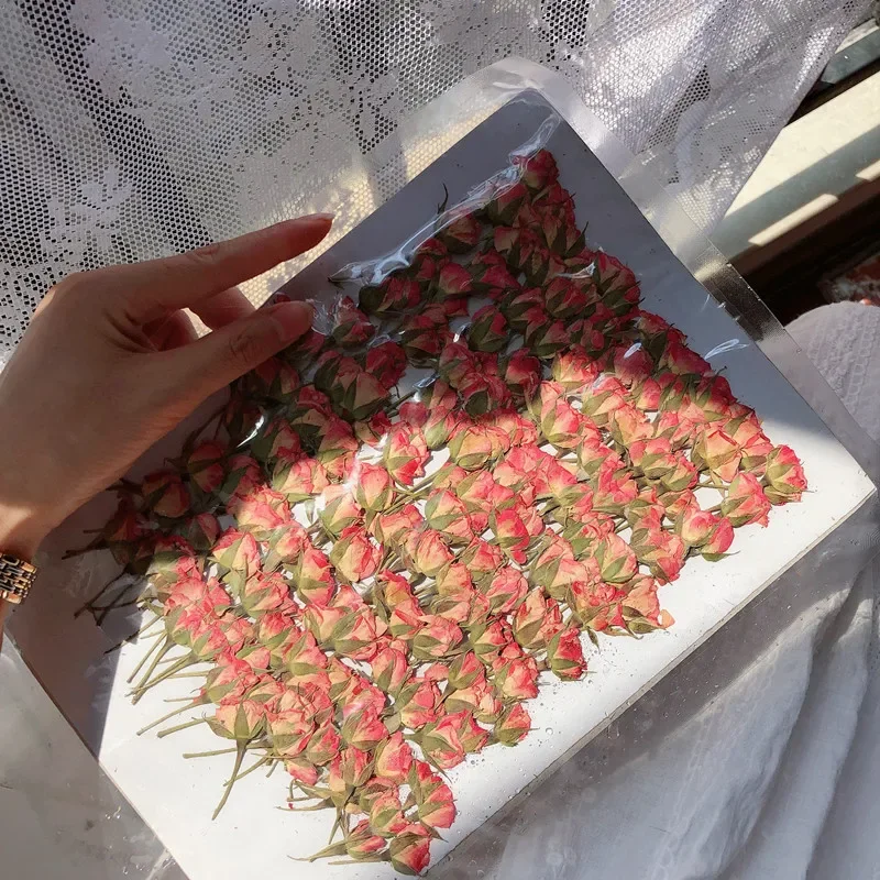 12pcs/3-5cm,Side Pressed Pink Yellow Red Mini Rose,Dried Flower DIY Glue Dripping Phone Case Photo Frame Bookmark Card Material