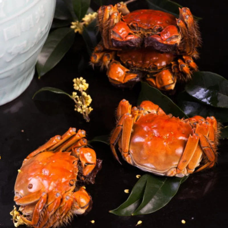 

Upgrade Metal Parts Kit Durable Full Metal Rc Upgrade Metal Parts Kit For 1/12 MN MN82 LC79 MN78 Crawler