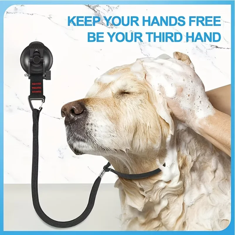 

1 Set of Cat and Dog Bathing Fixed Suction Cup Pet Grooming Station Harness Pet Hair Trimming and Blow-Drying Leash S003257