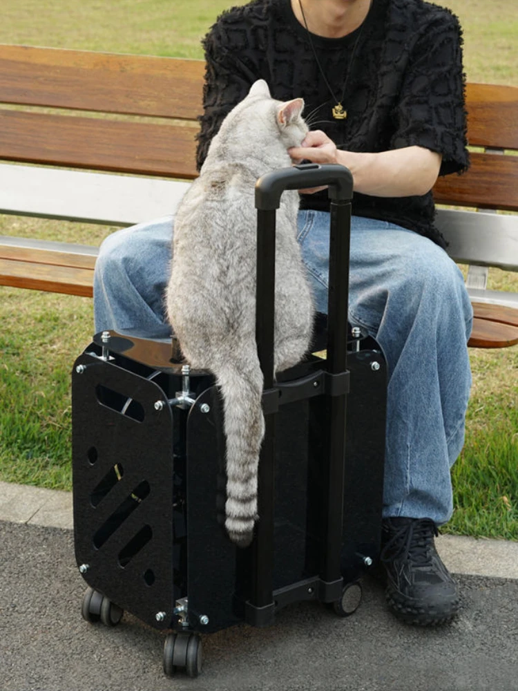 Pet Trolley Cat Bag Out Portable Clear Cat Suitcase Large Capacity Dog Carrier Air Suitcases Transport Pet Products Supplies