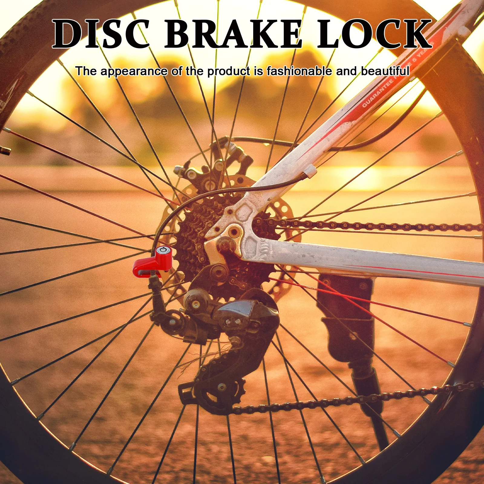 

Anti Theft Lock Bike Disc Brake Lock Motorcycle Security Durable Solid Alloy Steel Small Elegant Stylish Practical