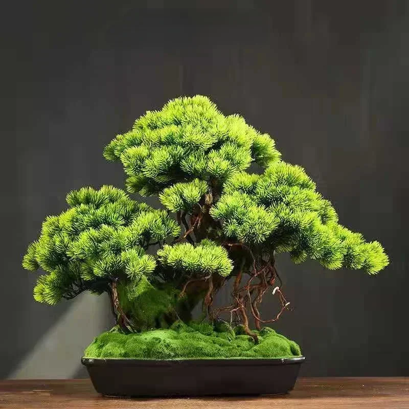 Simulation micro-landscape welcoming pine green plants bonsai living room porch decoration Chinese office home accessories