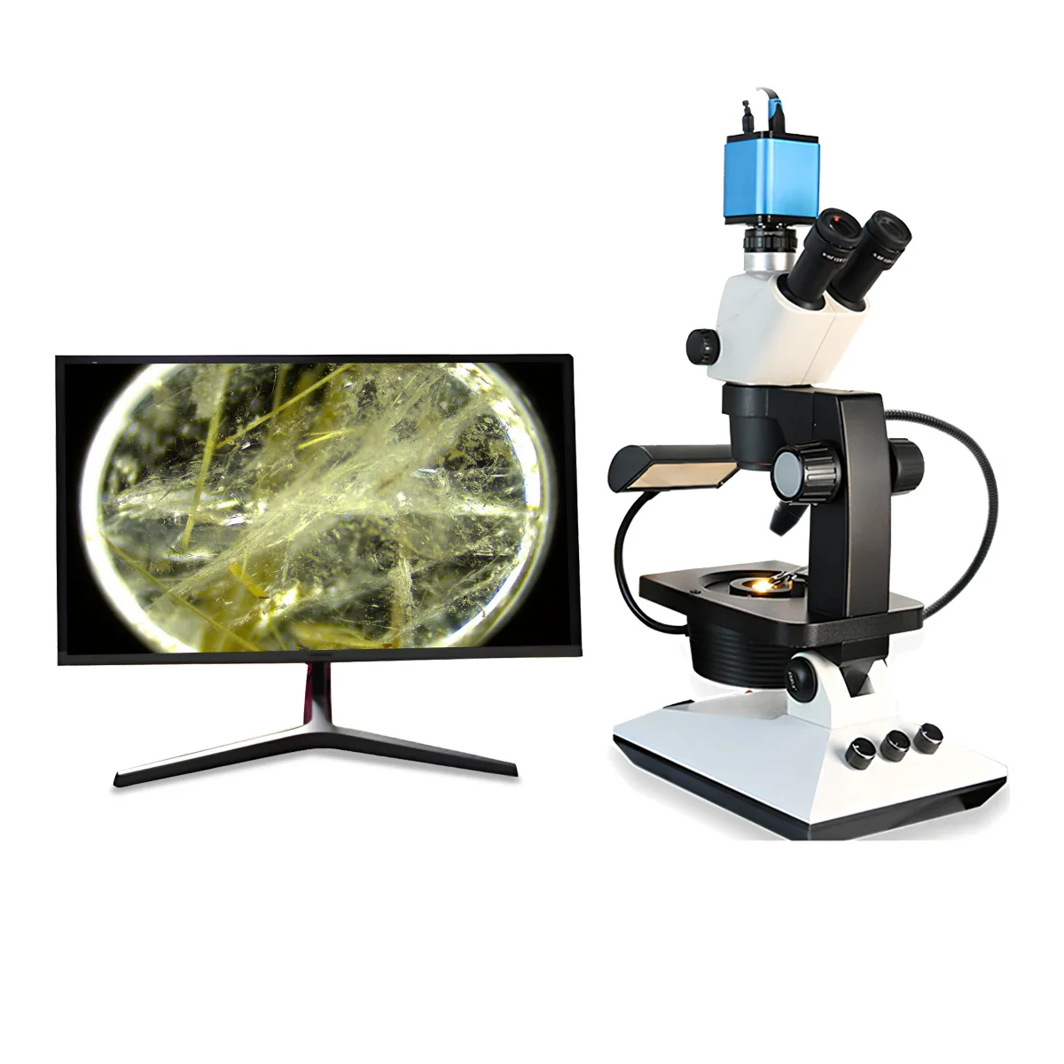 Fable 10W Lighting Mode Multi-function Laboratory Compound Optical Trinocular Stereo Gem Microscope with CCD Camaera