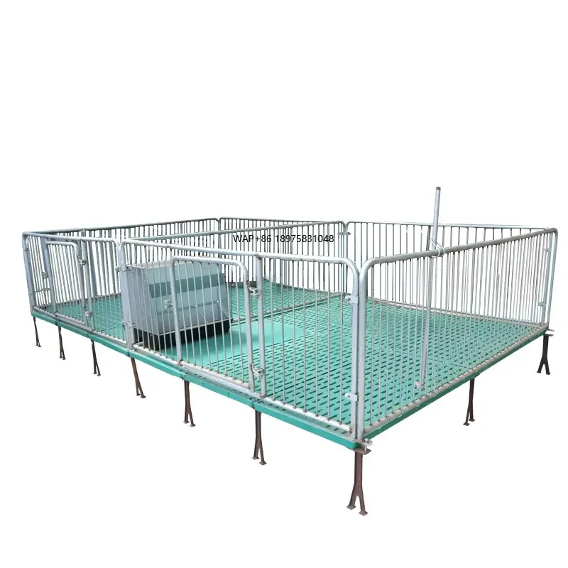 

High - Quality Galvanized Steel Piglet Nursery Bed with Anti - Corrosion Design, Suitable for Large - Scale Farms