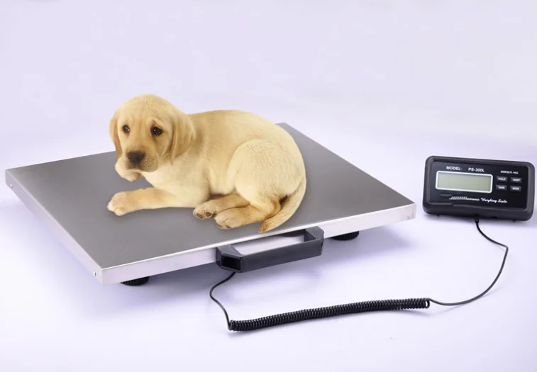 Multi-range and Multi-division Combined Counting Waterproof Pet Scale Electronic Platform Scale