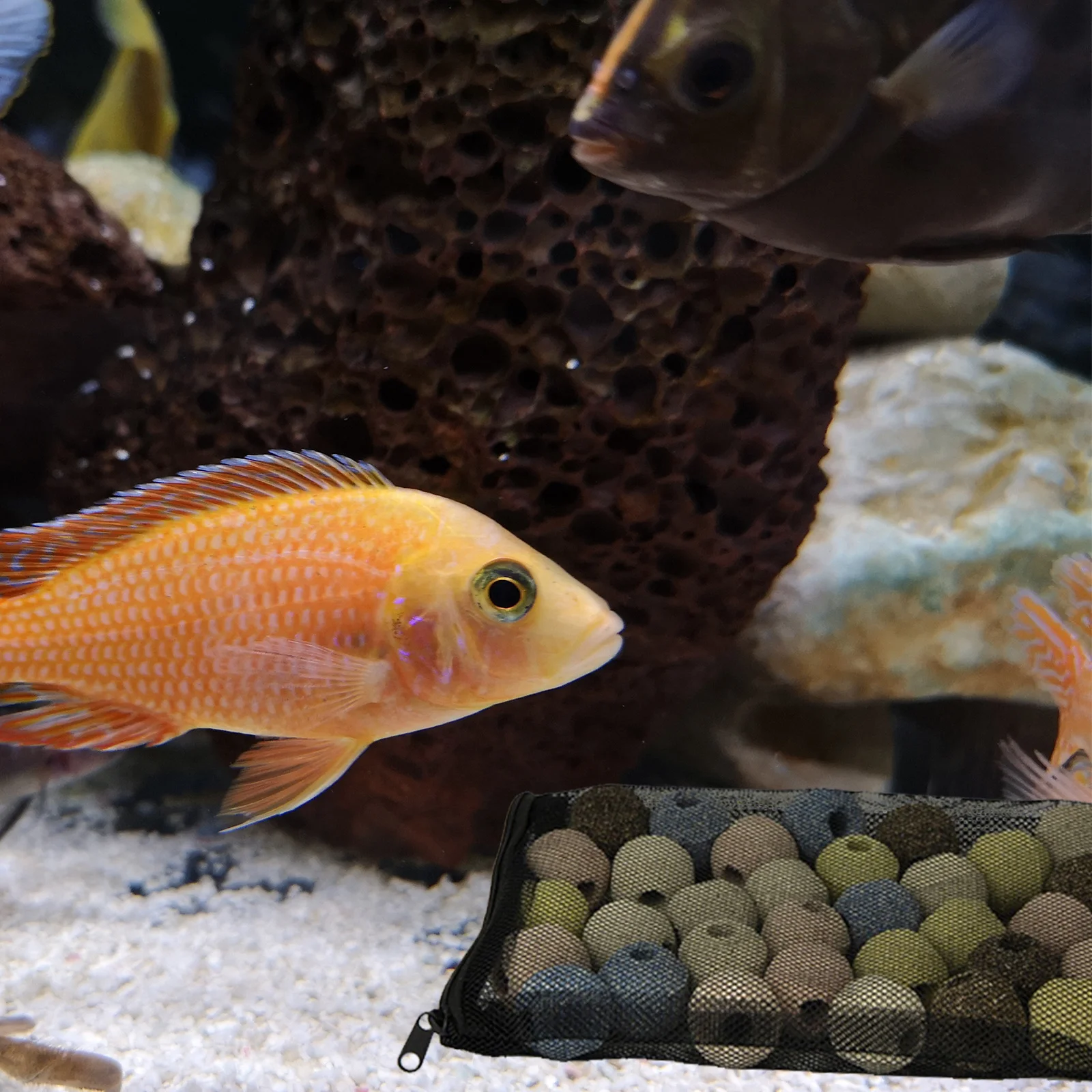 

20Pcs Aquarium Filter Bags Sturdy Mesh Filter Bag for Fish Tank Detritus Removal Reusable Filtration Mesh Pouch for Sump Filters