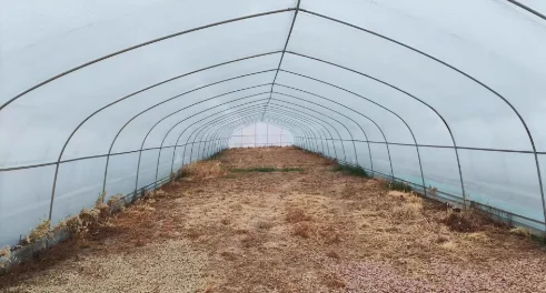 Serra per struttura della casa verde con tunnel in acciaio agricolo 2025Hoop