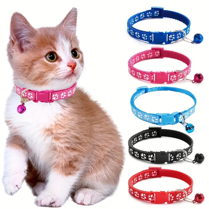 #4 Best Pet Collars to Buy In 2026