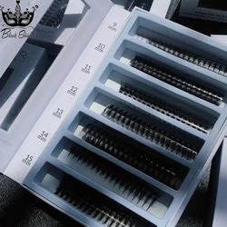 2000 Вентиляторов 0,05 Вентиляторы ручной работы 8-16D Rapid Mega Storage Lash Tray 1000 Вентиляторы Pointy Base Promade Volume Fans Sharp Pointy Stem Loose Fan