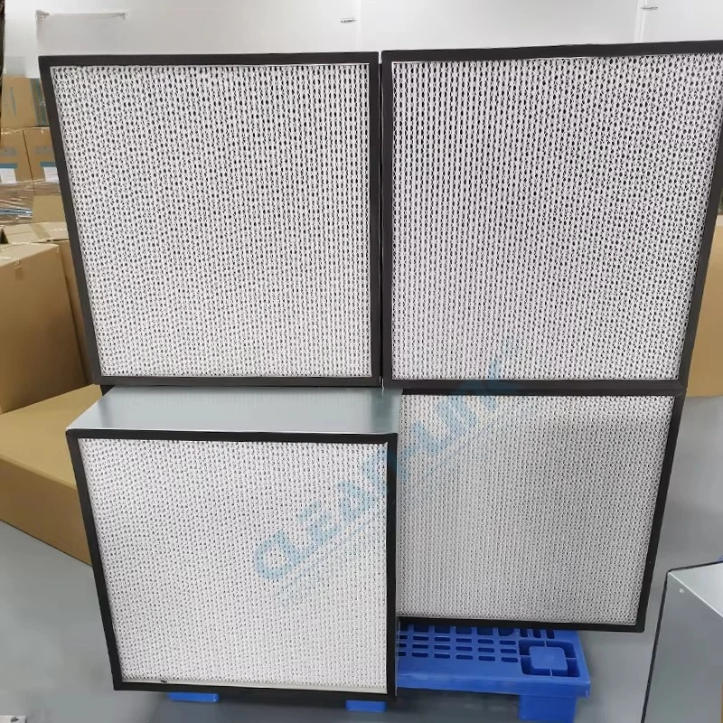

Manufacture High Efficiency Air Filter H13 H14 Laminar Flow Hood Deep Pleated Hepa Filter for Separator Ahu Ventilation System