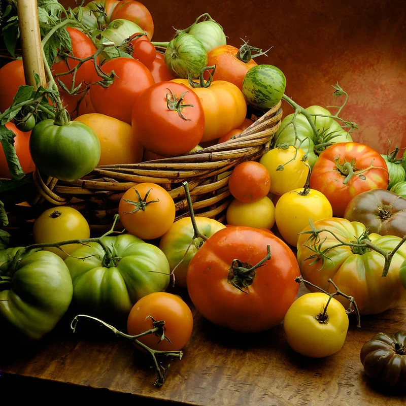 

Electric Tortilla Press Machine Tortilla Making Machine Commercial Pizza Dough Pressing Machine Pizza Dough Sheeter Machine