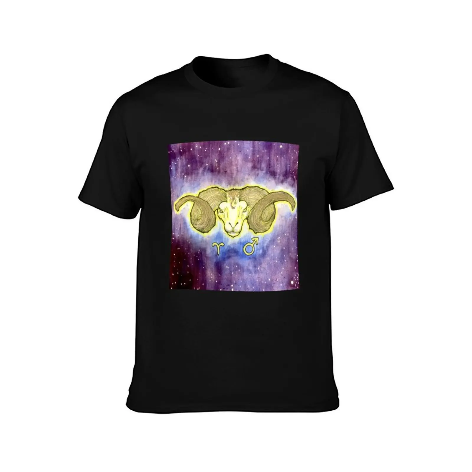 Aries 2 - Zodiac Series T-Shirt anime shirt anime clothes plus size men clothing