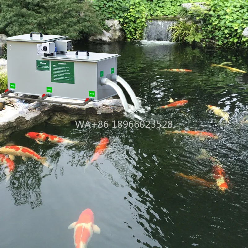 

Equipmen Ras Fish Pond Water Pump and Filter QlozoneGarden Koi Pond Filter System Water Filtration