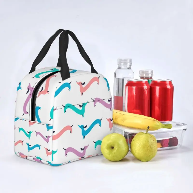 Sausage Dog Lovers Insulated Lunch Bag for Camping Travel Dachshund Waterproof Cooler Thermal Bento Box Women Children