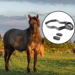 FITCENT Horse Heart Rate Monitor Tracker Monitoring Heart Rate Horse Band Belt for Equestrian