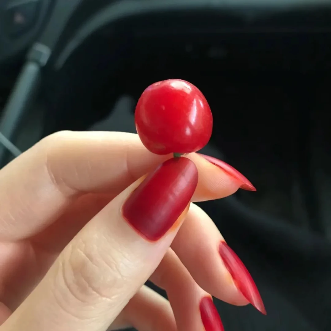 Natural Plant Henna Nail Dyeing Powder Wine Red Black  With Tools Nail Shine Powder Nail Art lasting Natural color 20g