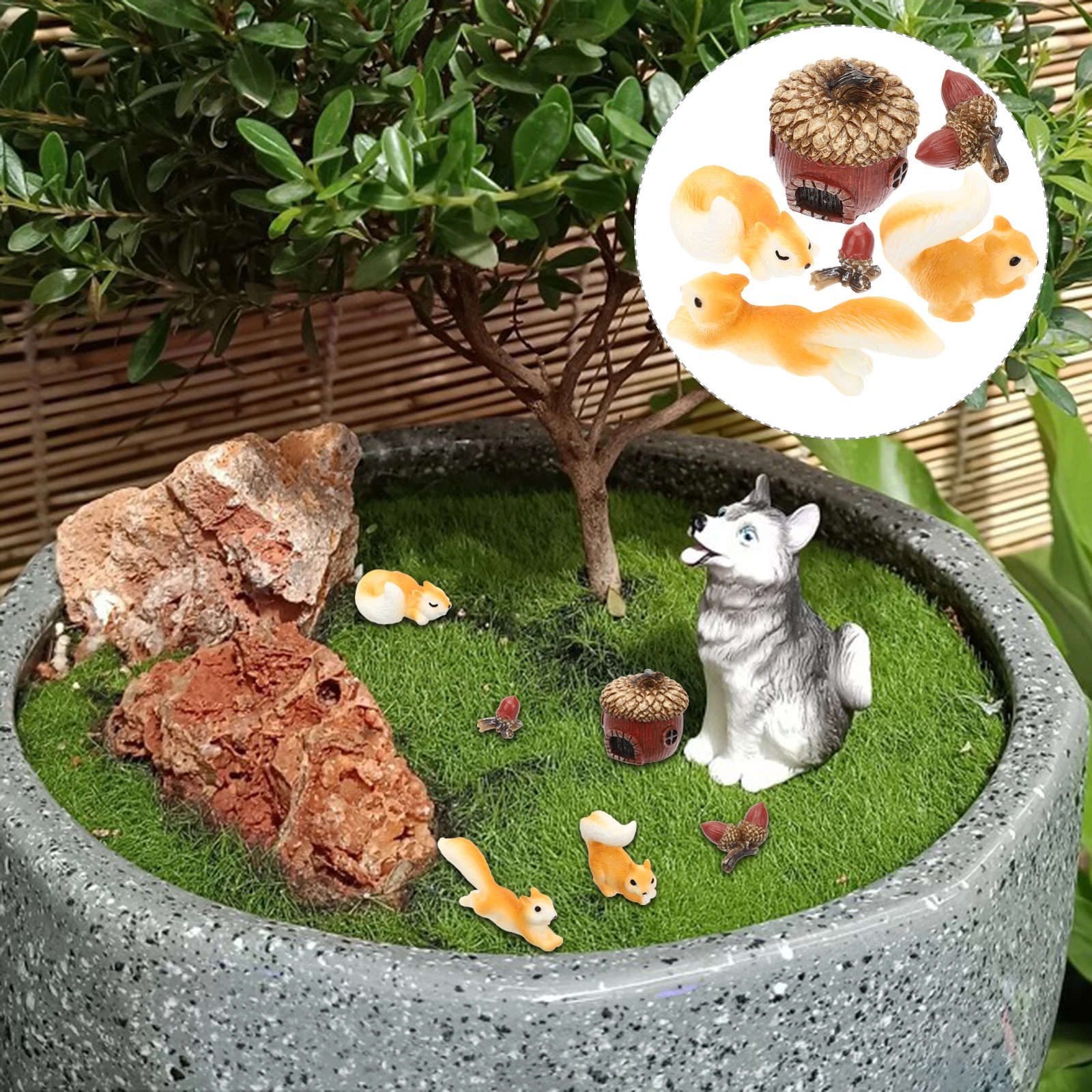 

6 Pcs Squirrel Statues Resin Mini Animal Figurines Decor Tabletop Landscape nament Bonsai Accessories for Kids