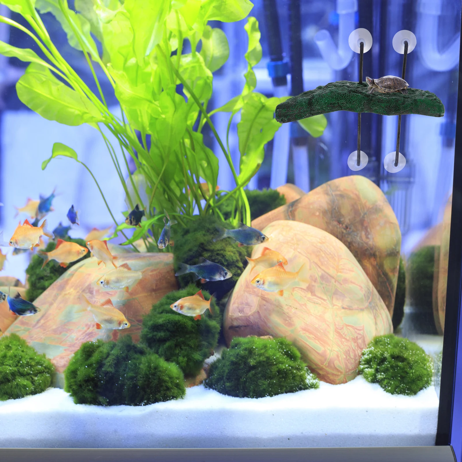 

Floating Island Basking Platform for Turtles Frog Lizards Decorative Dock Realistic Exercise Fitness Reptile Sun