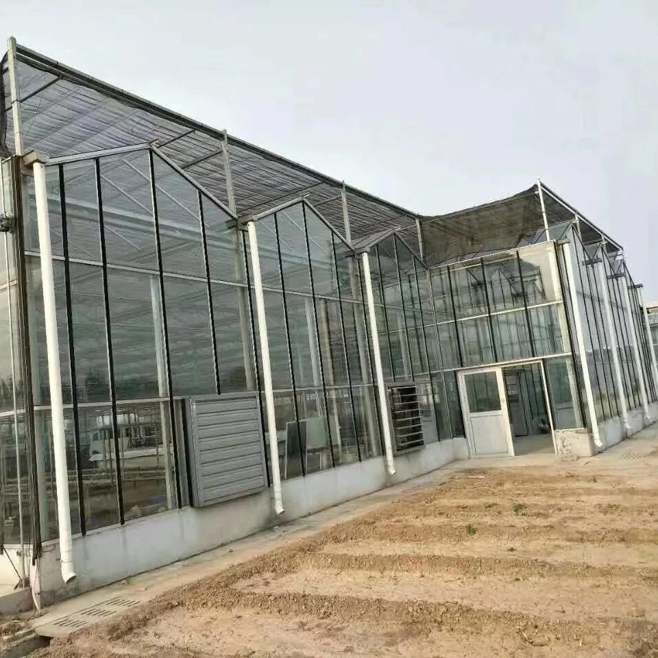 

Customized greenhouseTempered Glass Greenhouse, Hot Galvanized Steel Frame, Weatherproof, Durable, Ideal for Gardening & Plant G