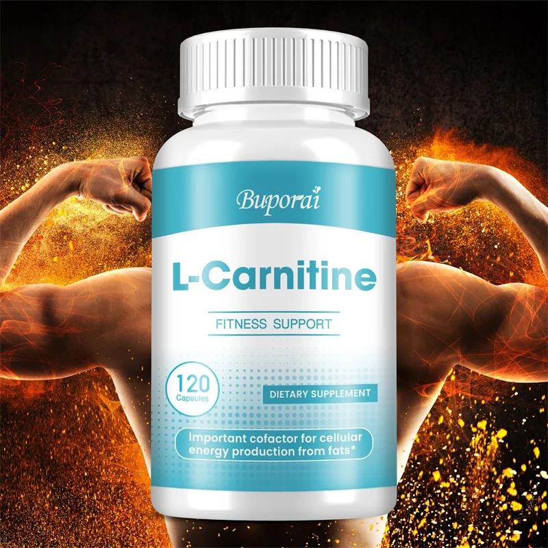 

L-Carnitine - Improves Memory, Concentration, Cardiovascular Health, Cognitive Function