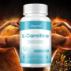 L-Carnitine - Improves Memory, Concentration, Cardiovascular Health, Cognitive Function