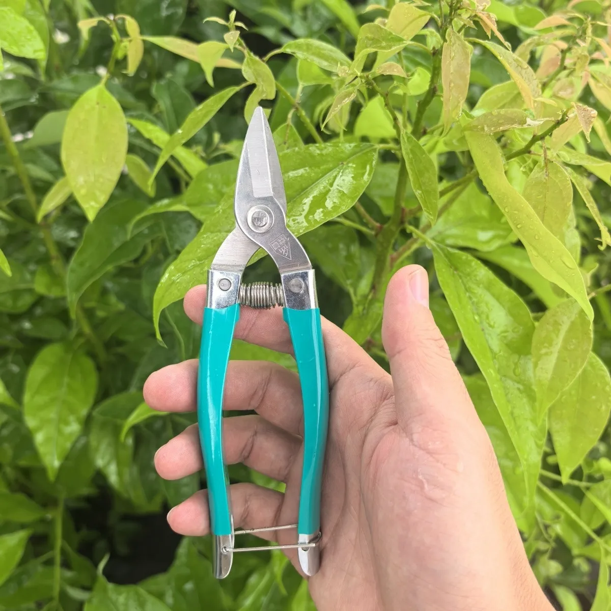 Gardening Pruning Shears Fruit Picking Shears Stainless Steel Gardening Pruning Shears Multifunctional Pruning Tool Home Tools