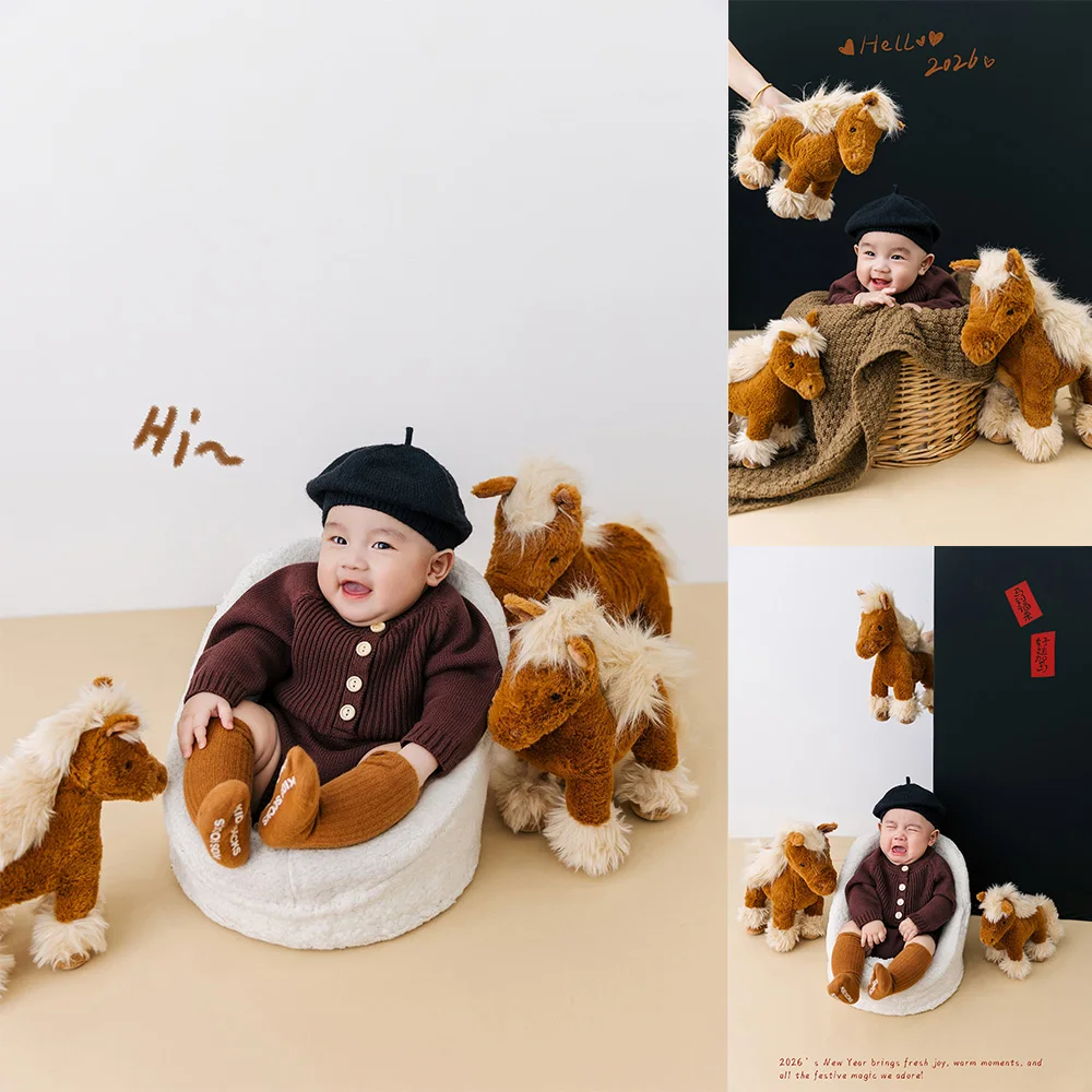 100日目の赤ちゃん馬のテーマ写真撮影用小道具-ブラウンニットロンパース-ベレー帽-靴下写真セット-ぬいぐるみポニー小道具-赤ちゃんのマイルストーン撮影用