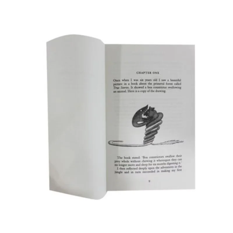 El Principito Libro de bolsillo en inglés