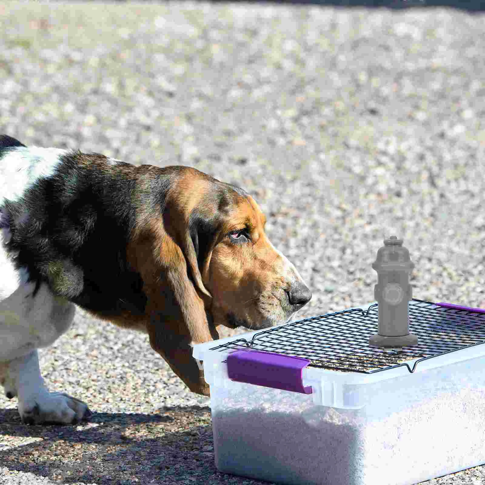 Haustier Hund Toilette Zubehör Welpen Indoor Urin Post Töpfchen Säule Das Gitter Katheterisierung Hellgraues Netz