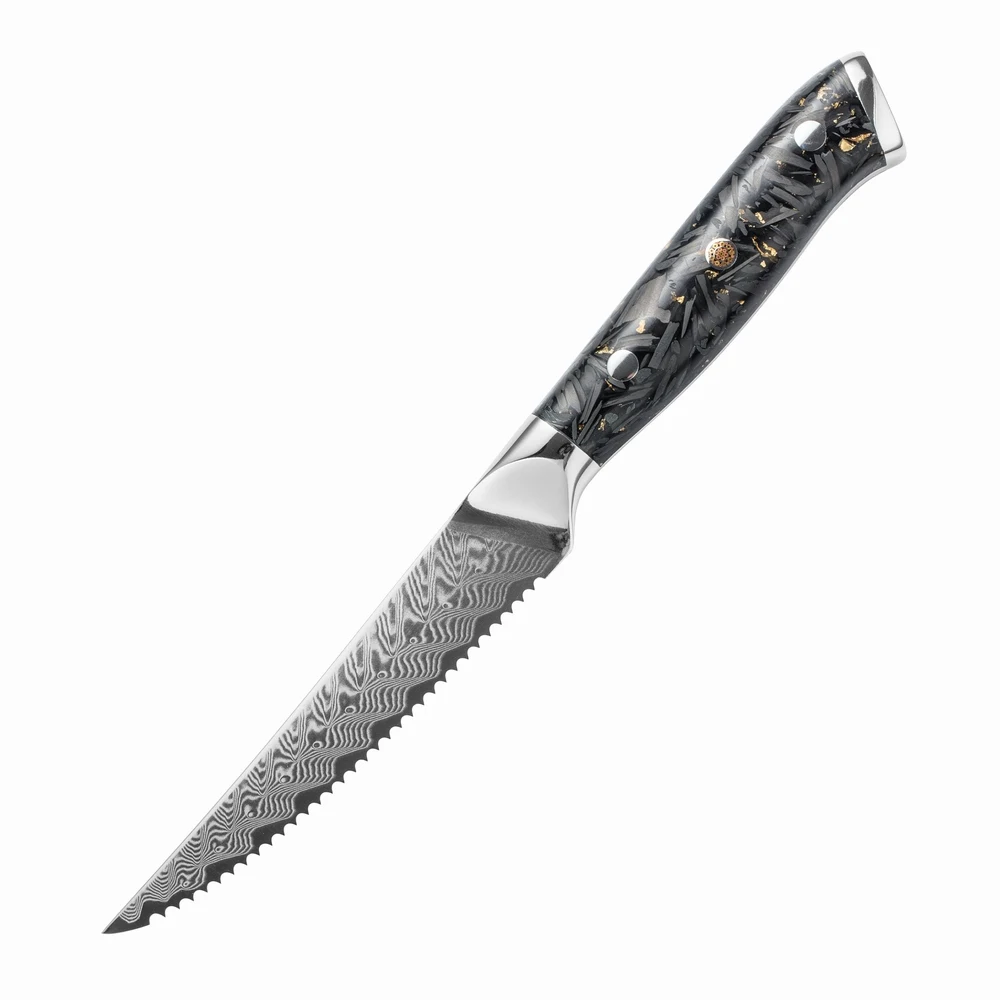 YAN Professional Japanese Damascus  4.5 Inch steak Knife 67 Layers VG10 Steel Sharp Kitchen Knife Carbon Fiber Composited Resin