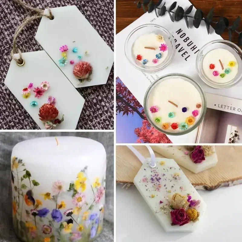 Fleurs séchées pour les élections, résine xy, bricolage, artisanat d'art, bougie, bijoux, couvercle en verre exécutif, remplissage de boules, accessoires de fleurs sèches