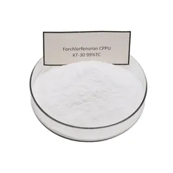 Forchlorfenuron CPPU KT-30 Cytokinin 99% Strong Cell Division Agent with Low Price Free Shipping Door to Door